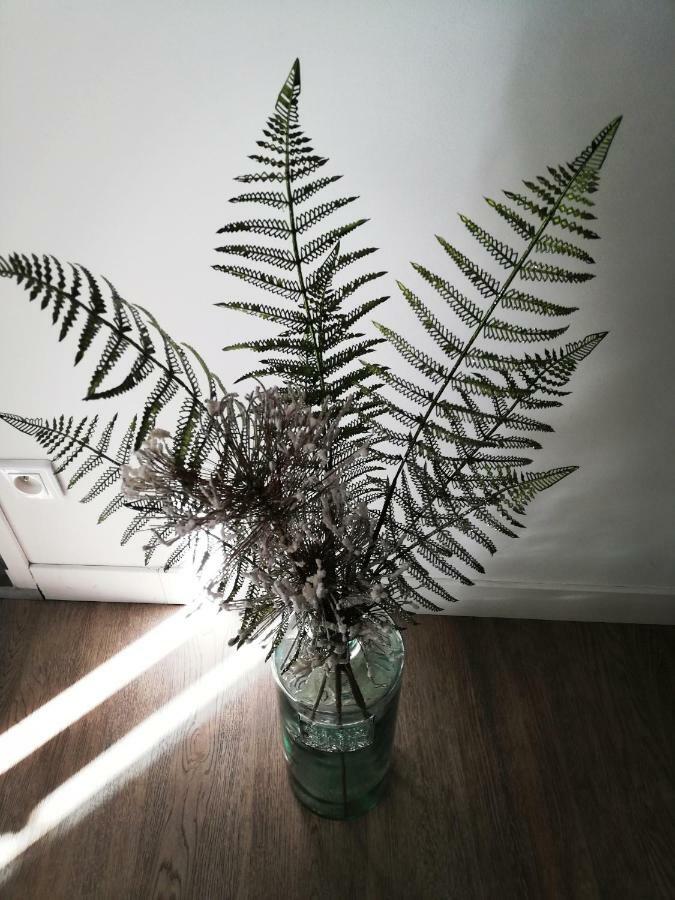 Les Insolites De Champeix Exteriör bild